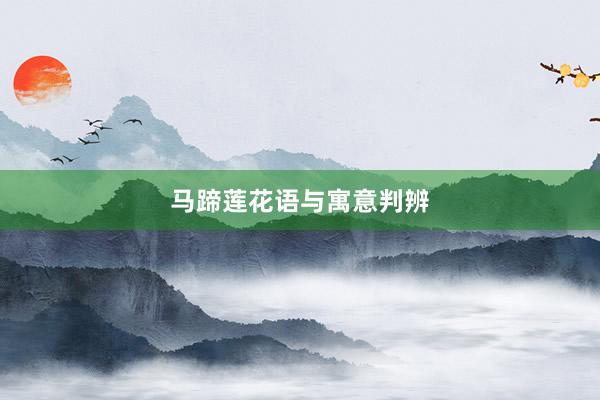 马蹄莲花语与寓意判辨
